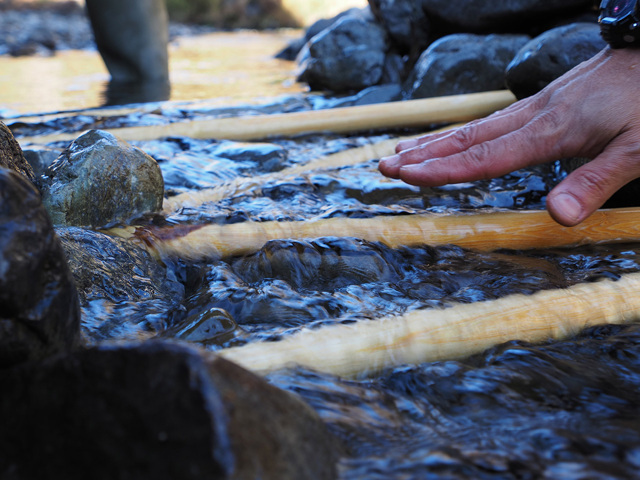 近自然工法の実験
