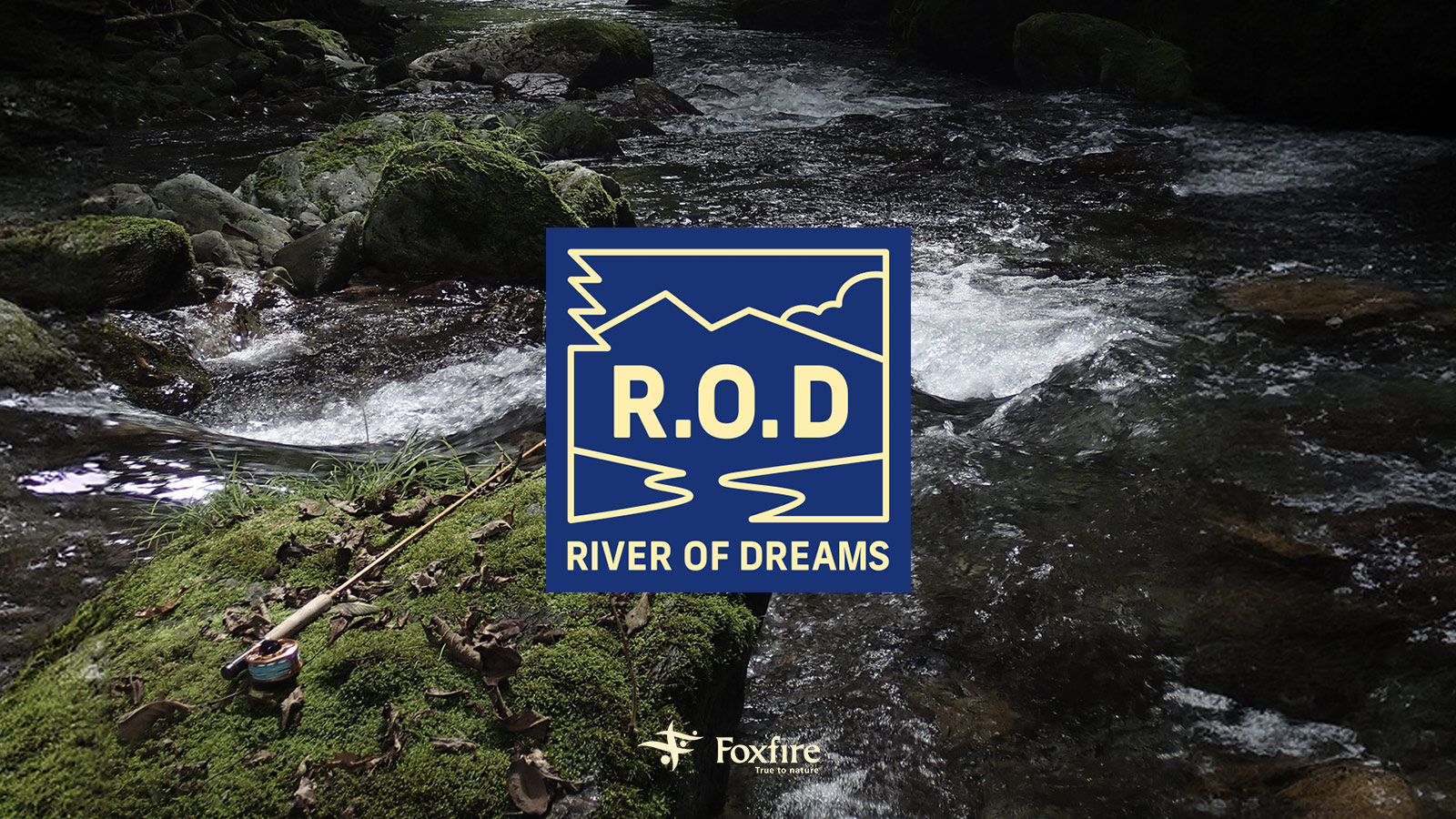 クキのドン突き