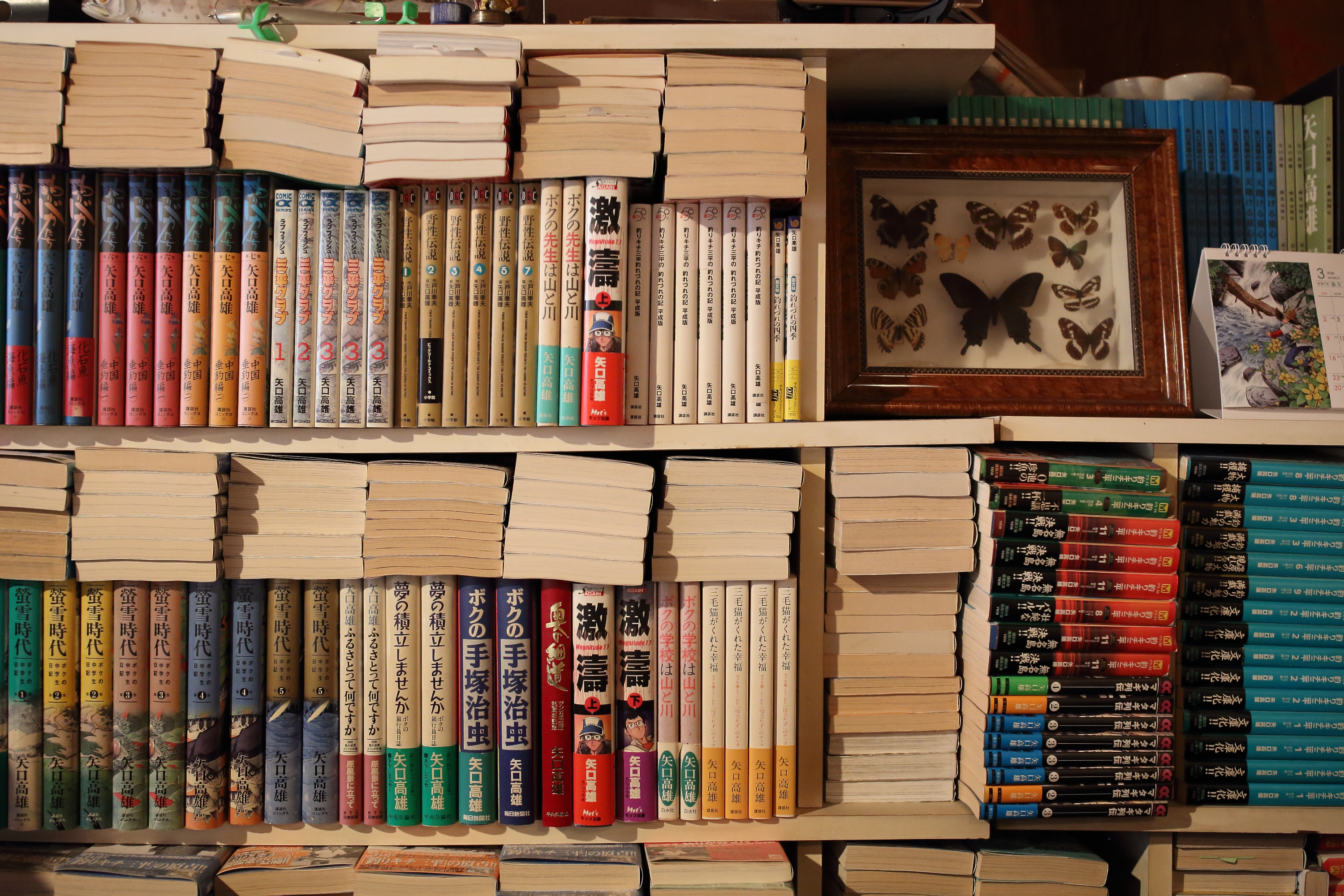 山梨・峡東漁協日川